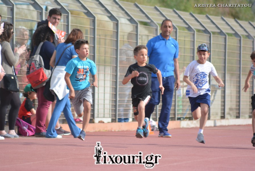 vergoteia 2018300