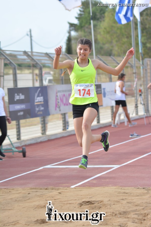 vergoteia 2018444