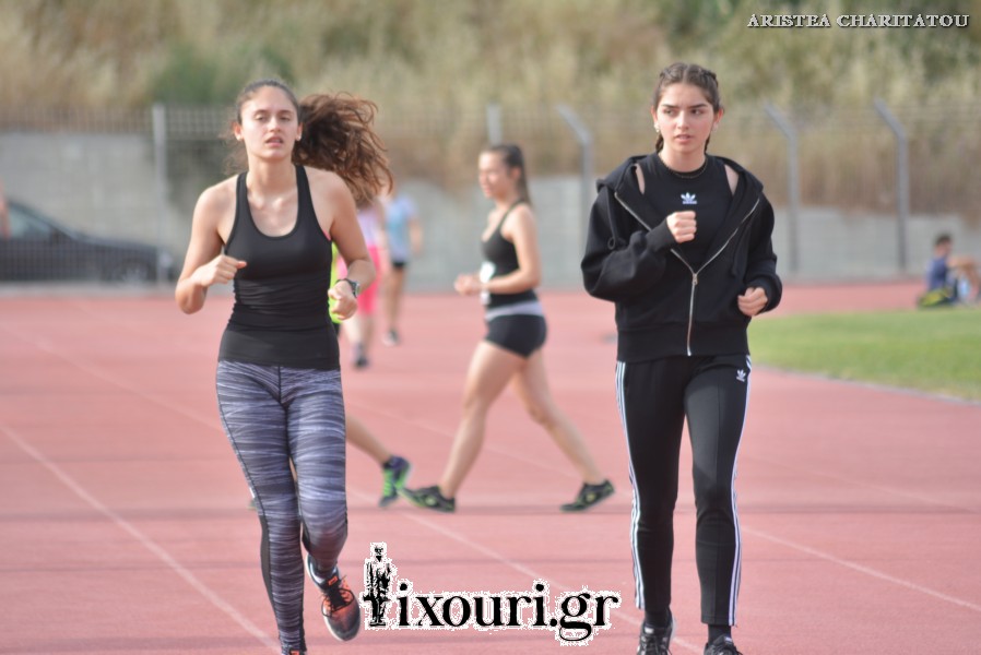 vergoteia 2018488