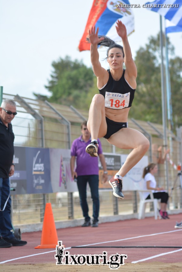 vergoteia 2018551