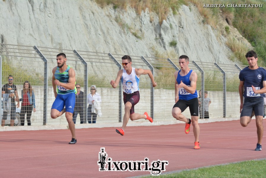 vergoteia 2018587