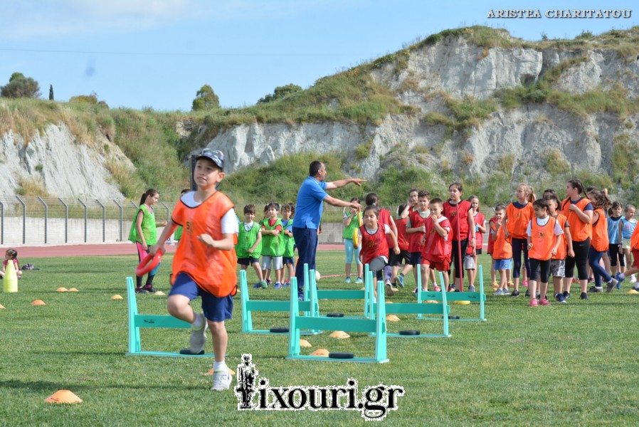 vergoteia 201860