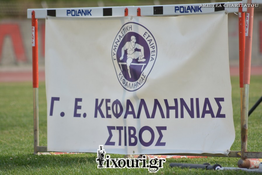 vergoteia 2018605