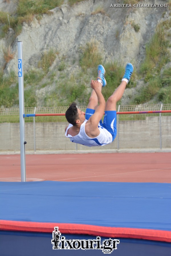 vergoteia 2018638