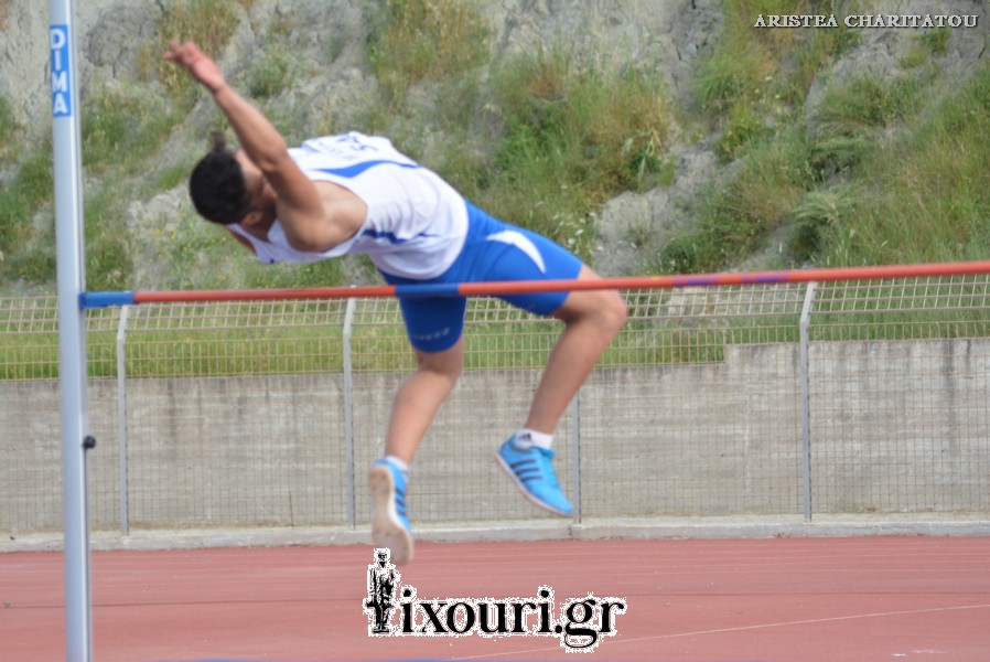 vergoteia 2018665