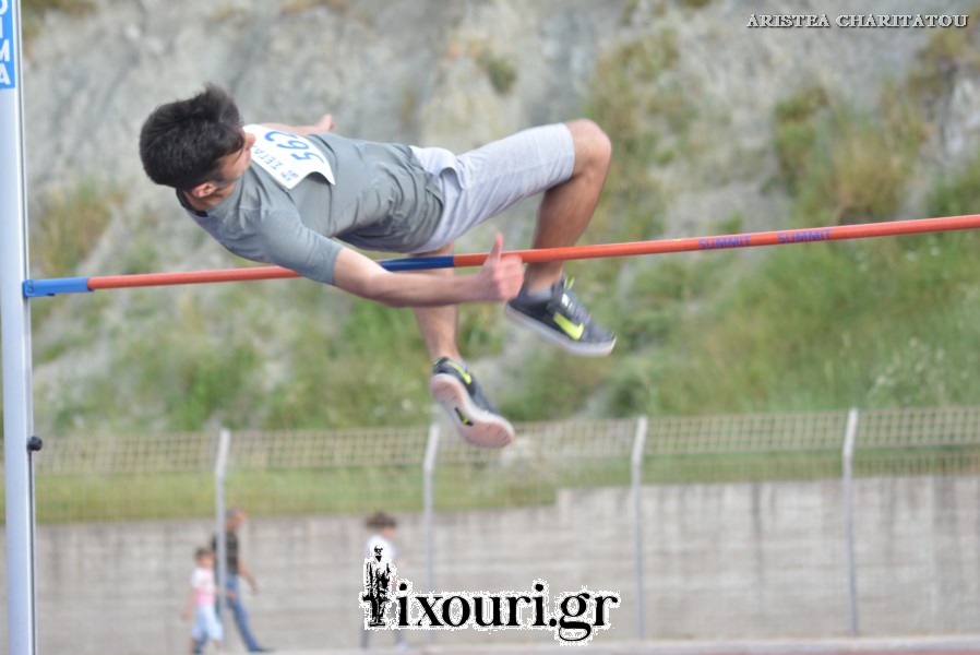 vergoteia 2018686