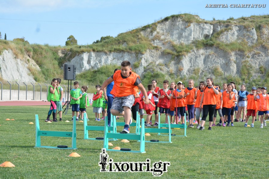 vergoteia 201873