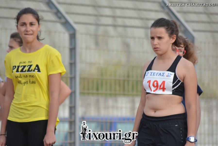 vergoteia 2018773