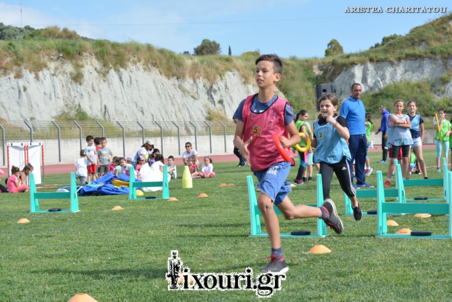 vergoteia 201887