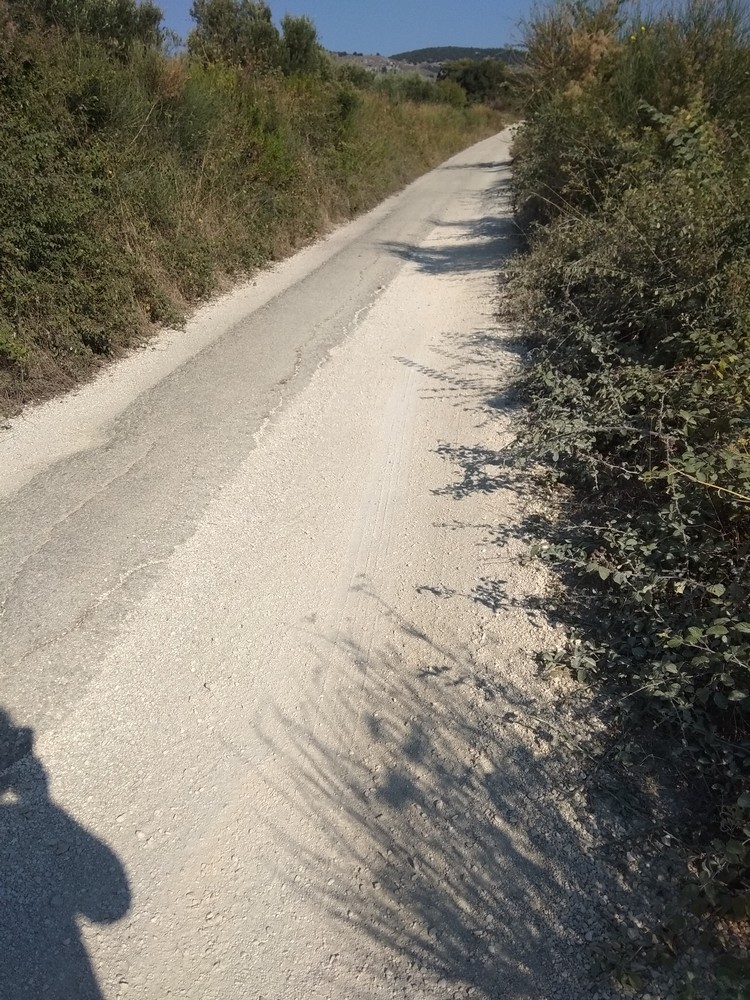 IMG 20180808 093759