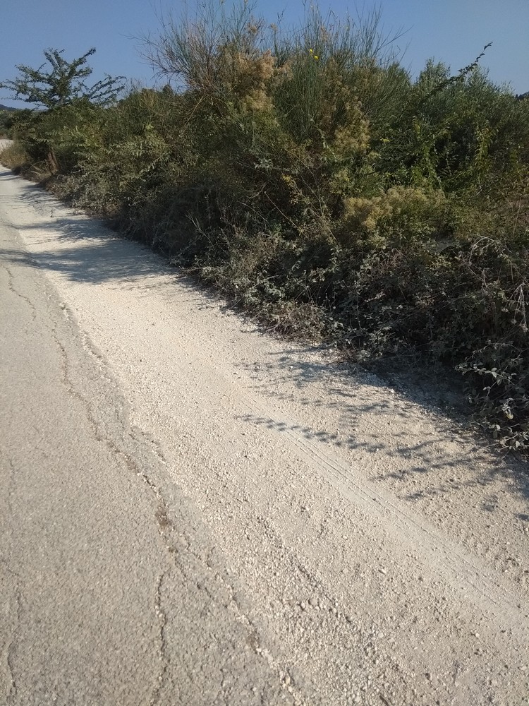 IMG 20180808 093804
