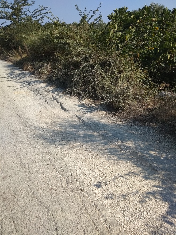 IMG 20180808 093821