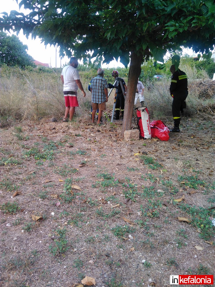 IMG 20180827 081702