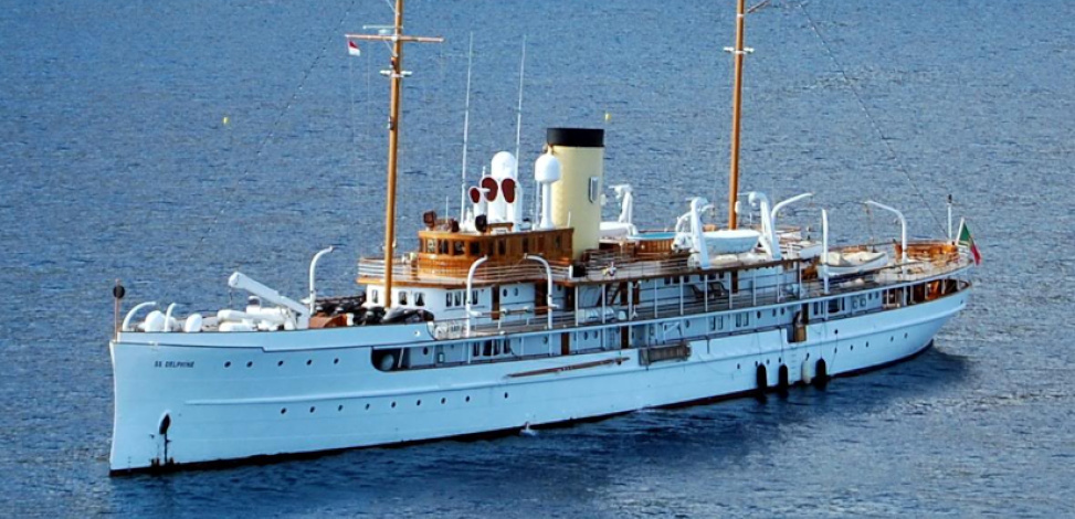 SS DELPHINE main profile 1