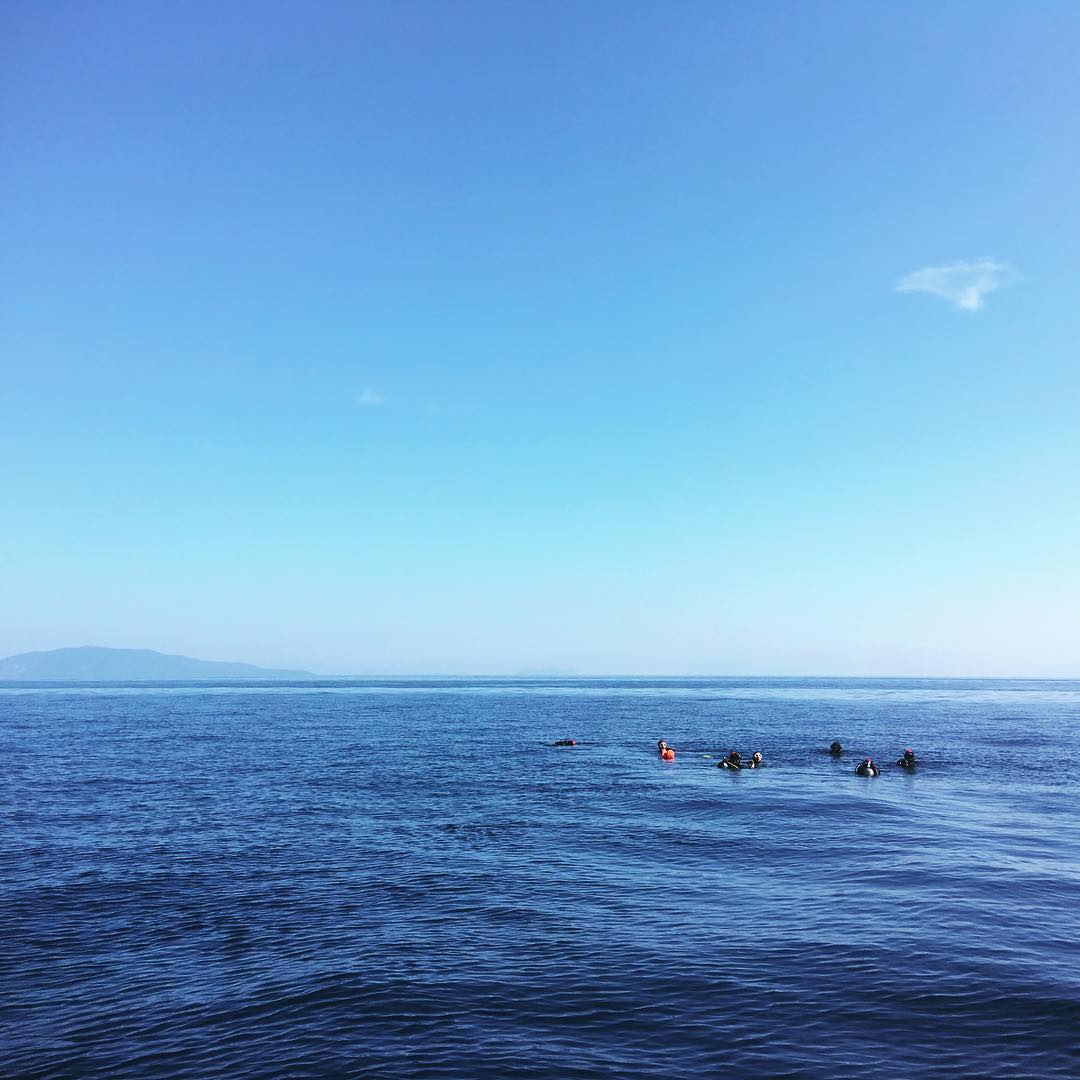 bluemantadivers 40705463 473238669857159 1627600707840402117 n
