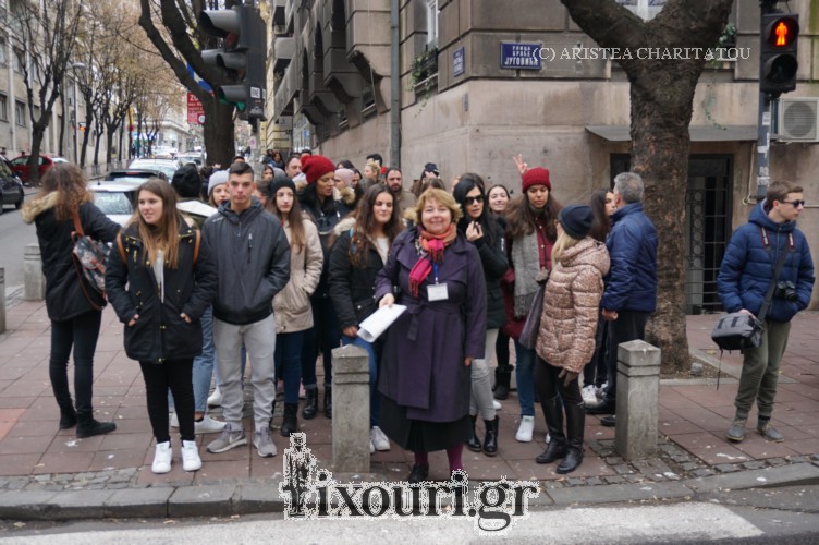 veograd1112614