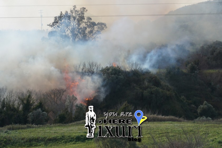 pirkagia lixouri14