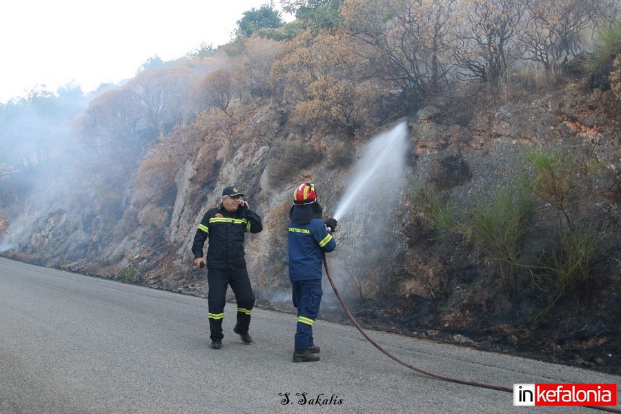 IMG 3062 Αντιγραφή