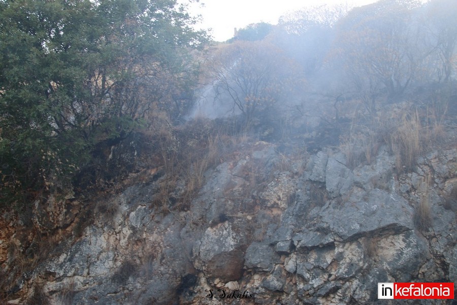 IMG 3062 Αντιγραφή