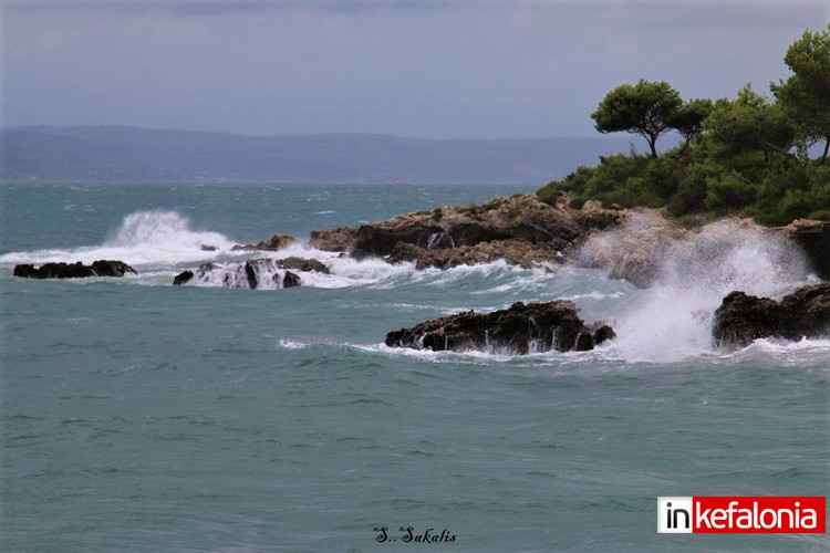 IMG 0050 Αντιγραφή