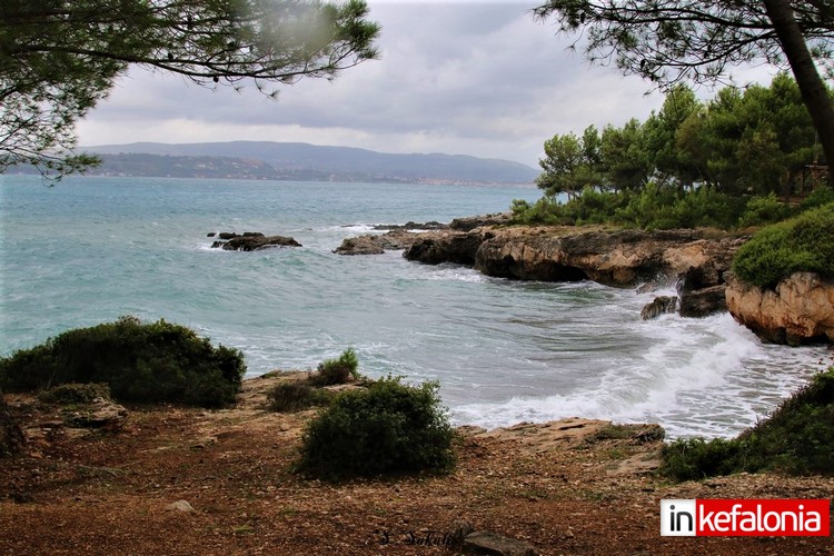 IMG 0055 Αντιγραφή