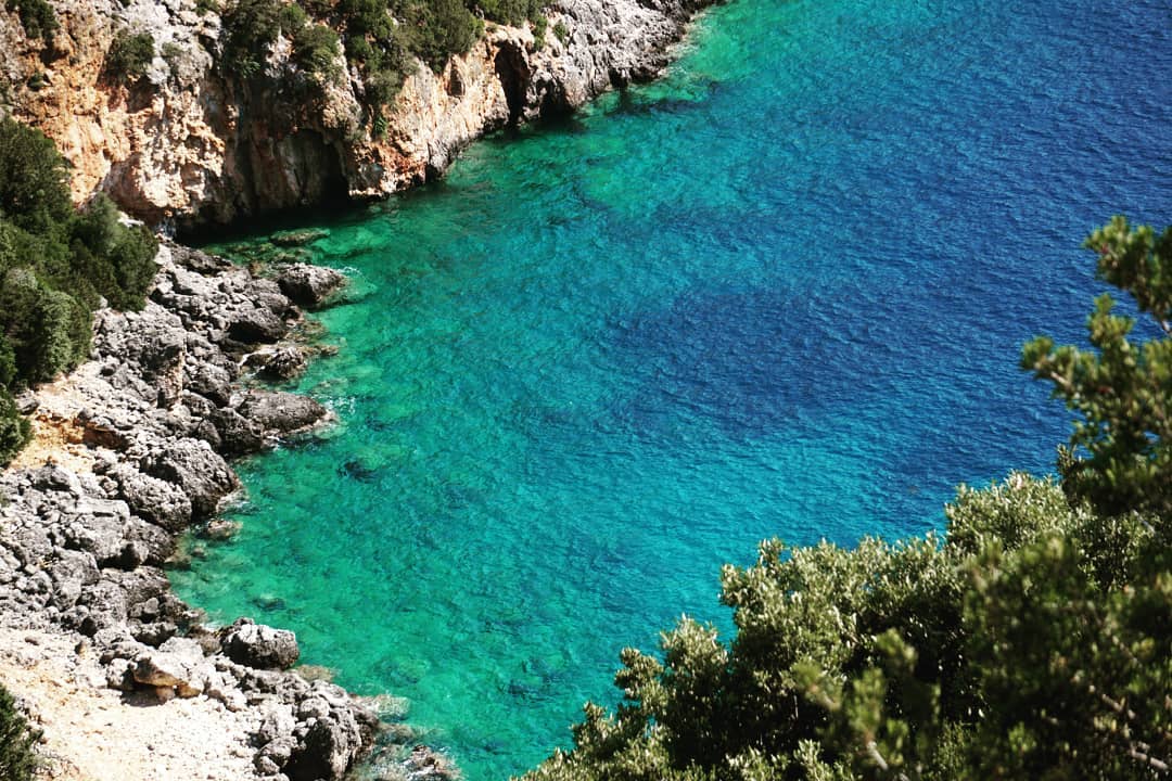 vibrant kefalonia 73425468 158190441941245 9169547874638542539 n