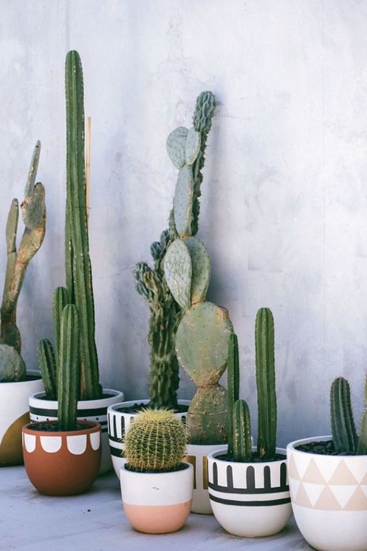 cactifacts 3