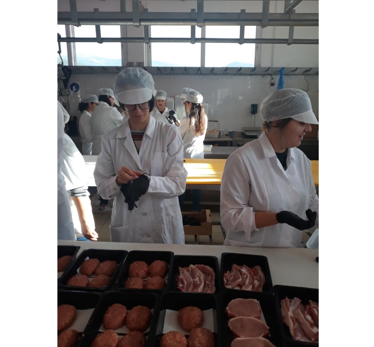 Ευχαριστήρια Επιστολή Επίσκεψης 14 11 19 011