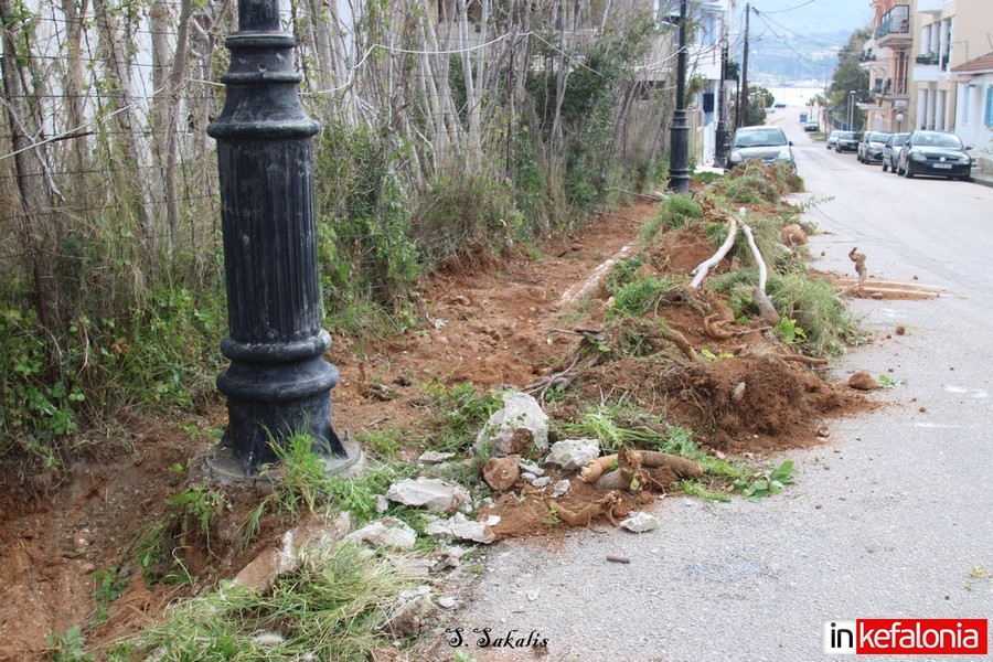 IMG 7325 Αντιγραφή