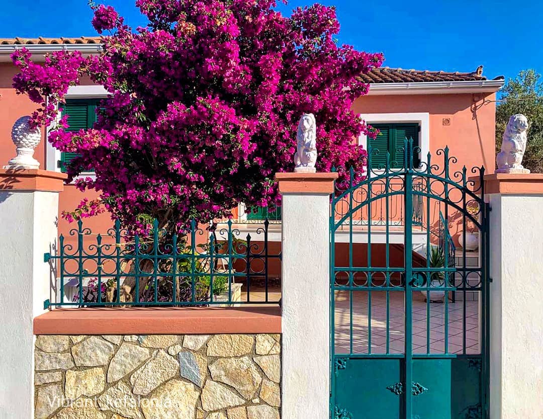 vibrant kefalonia 109126309 741366339949596 3210335596381180177 n