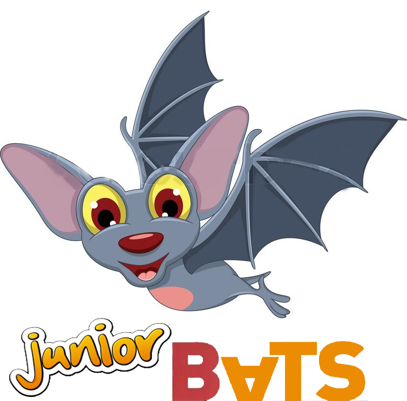 JUNIOR BATS 2