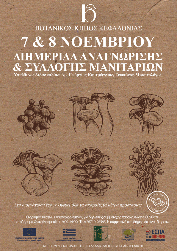 mushrooms 2020 poster