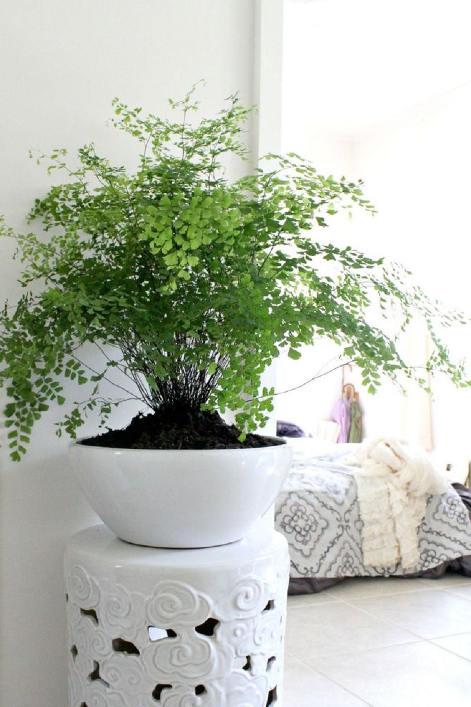 thehomeissue fteri8