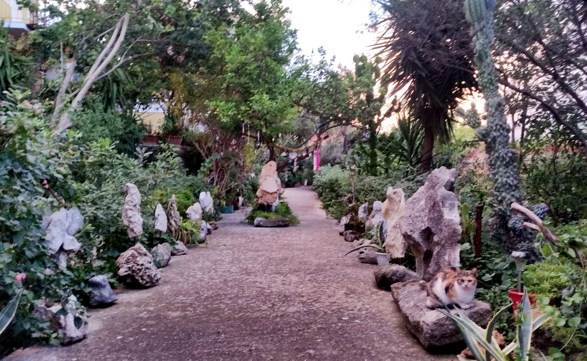 ΕΙΣΟΔΟΣ ΜΕ ΛΙΘΟΓΛΥΠΤΑ. ART GARDEN