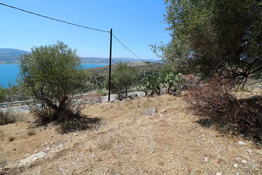 IMG 9825