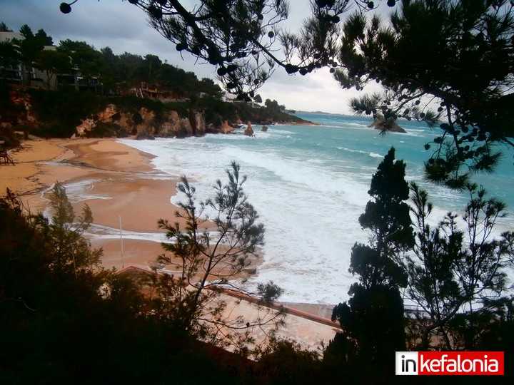 P1010873 Αντιγραφή
