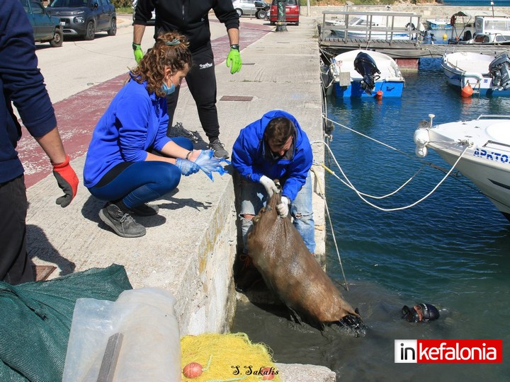 IMG 0959 Αντιγραφή