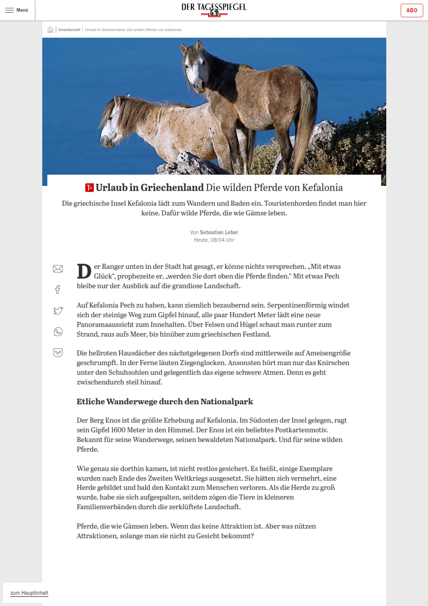 Kefalonia online Tagesspiegel 2 001
