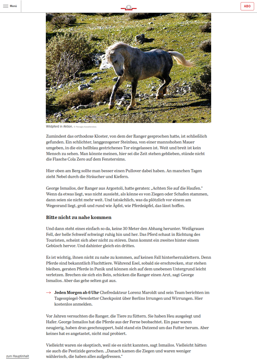 Kefalonia online Tagesspiegel 2 004
