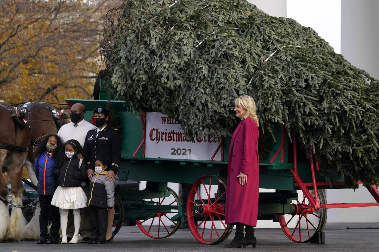 jill.biden.christmas jpg