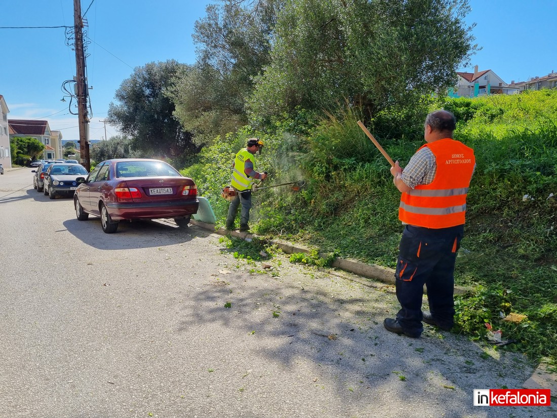 Η υπηρεσια πρασινου και τον φλεβαρη κοβει χορταρια.Παντα σε ενεργε 1