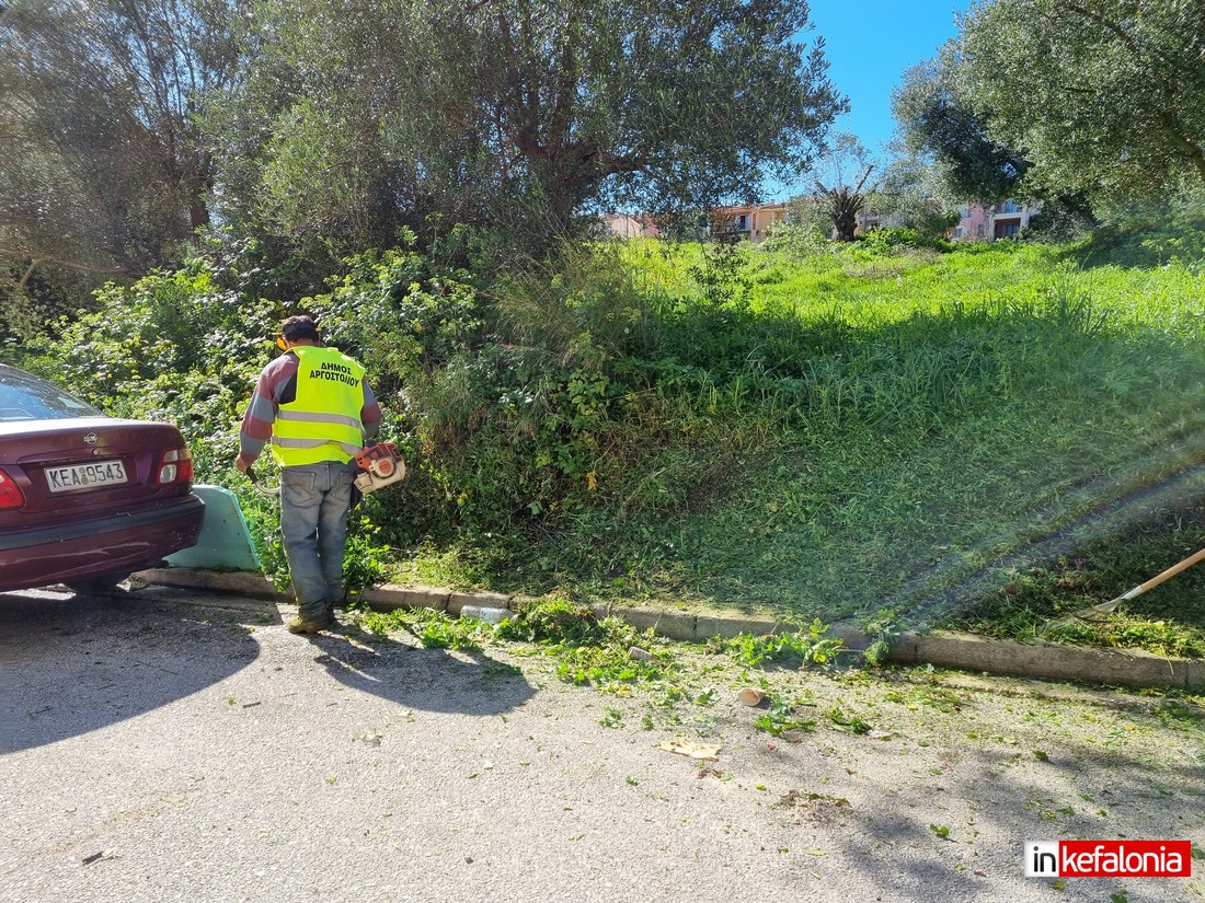 Η υπηρεσια πρασινου και τον φλεβαρη κοβει χορταρια.Παντα σε ενεργε 2