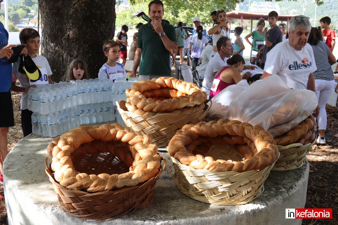 IMG 3007 Αντίγραφο Αντίγραφο