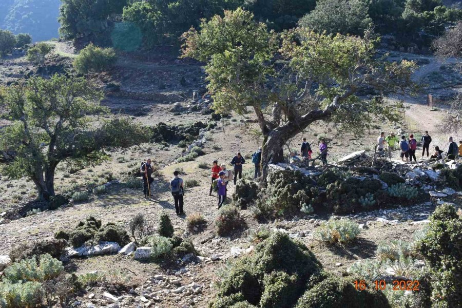 εικόνα Viber 2022 10 16 19 31 27 569