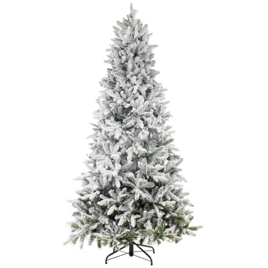000 eira661 1 800x800