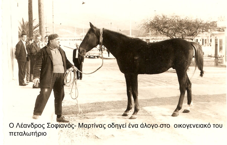 Ο Λέανδρος Σοφιανός οδηγεί το άλογο στο πεταλωτήριο