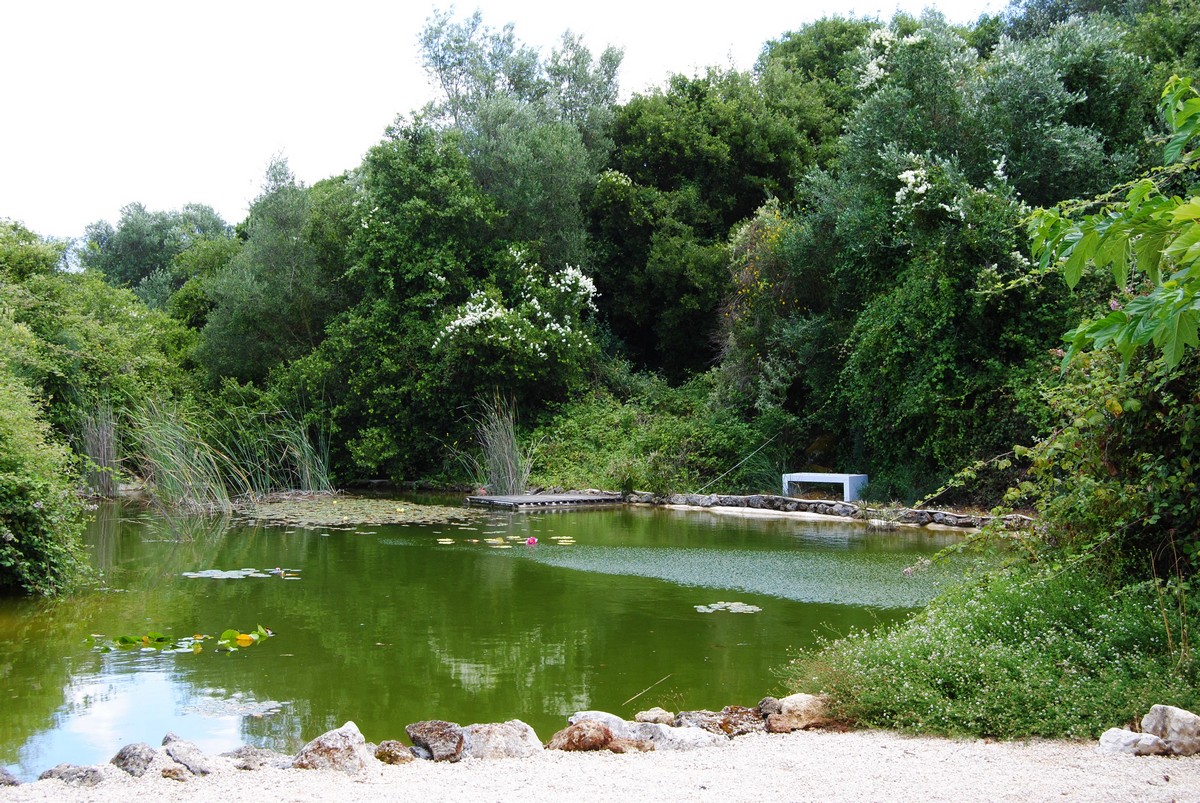 ΛΙΜΝΗ ΑΡΧΙΚΗ