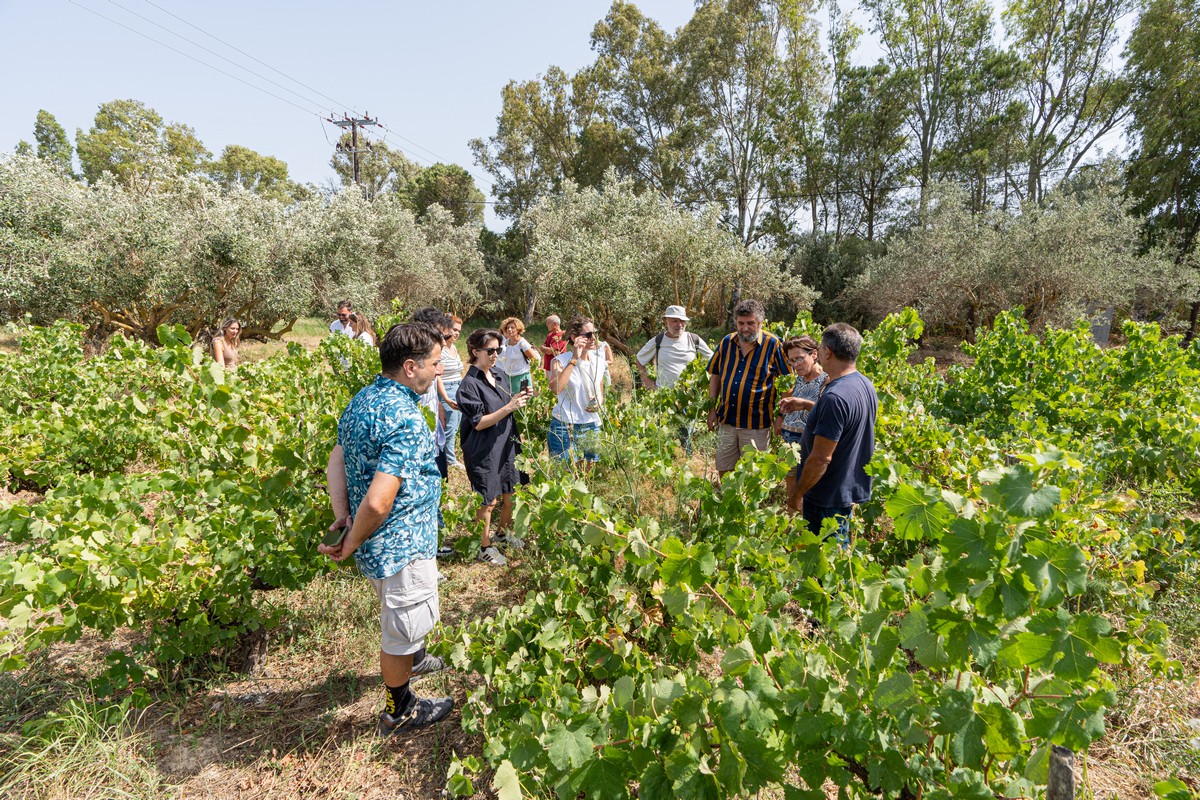 Kefalonia Winemakers Kefalonia Wine Hub 2024 photo by Adriana Karantinou 27