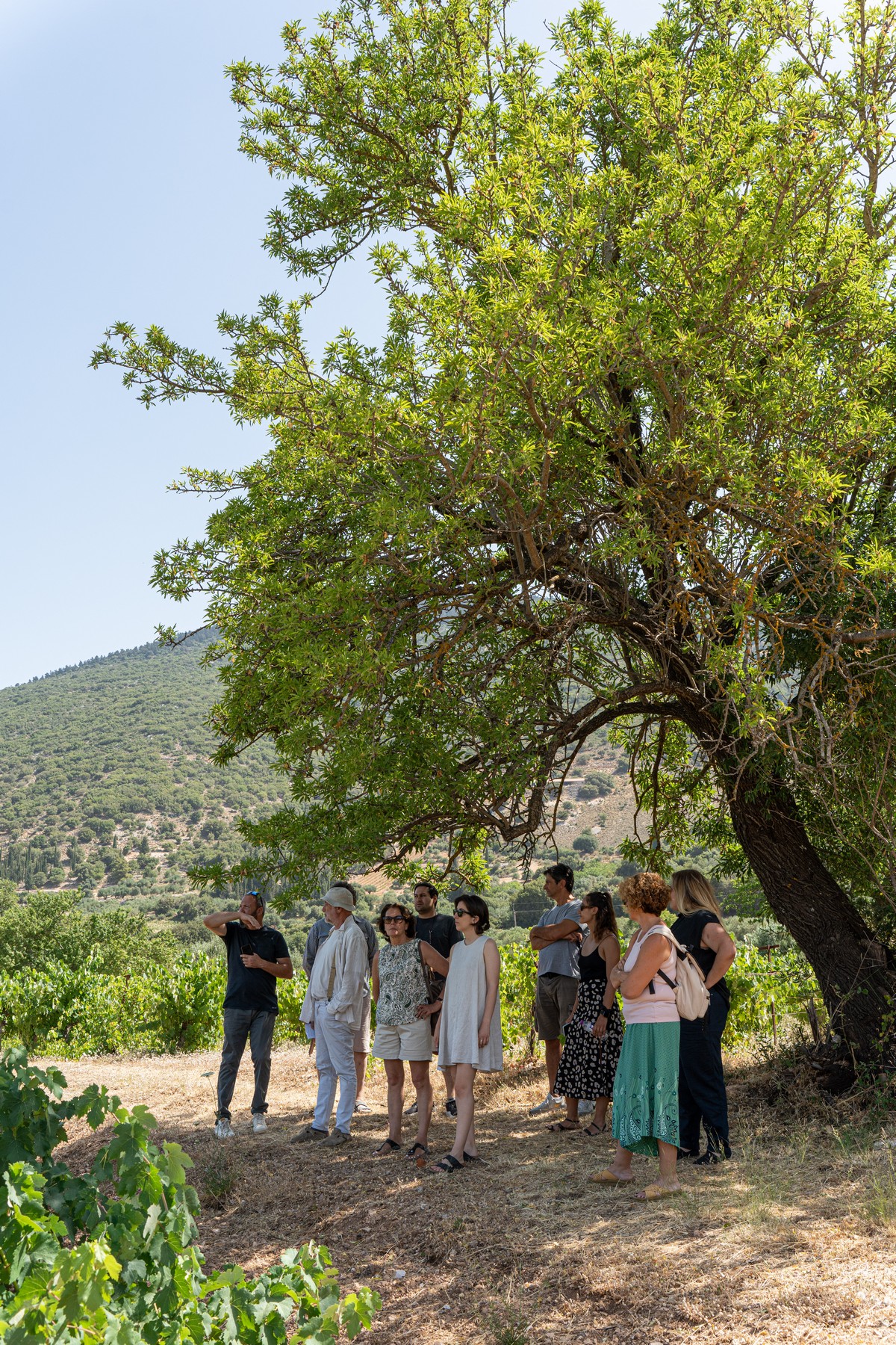 Kefalonia Winemakers Kefalonia Wine Hub 2024 photo by Adriana Karantinou 29