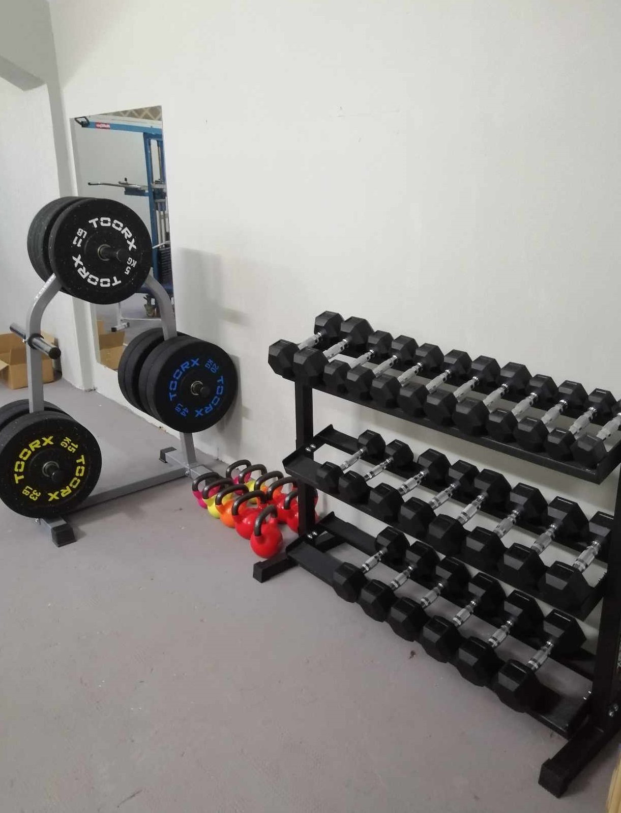 gym1 1